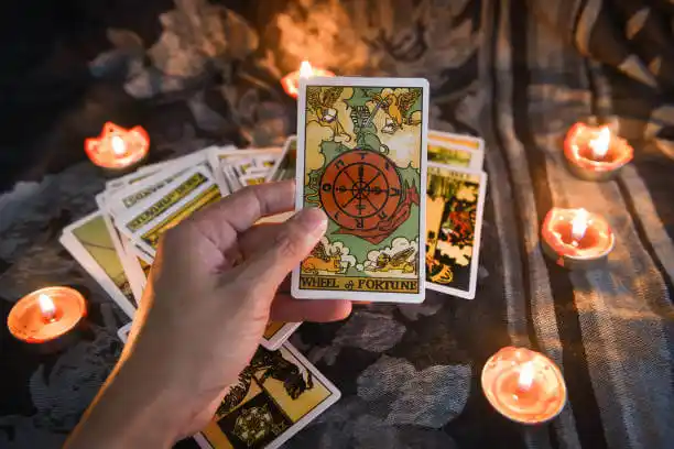 tarot cards Scribner